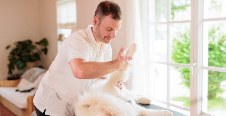 Physiotherapie für Hunde