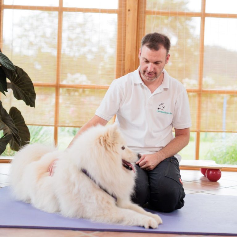 Hundephysio